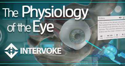 眼睛的生理学(The Physiology of the Eye)